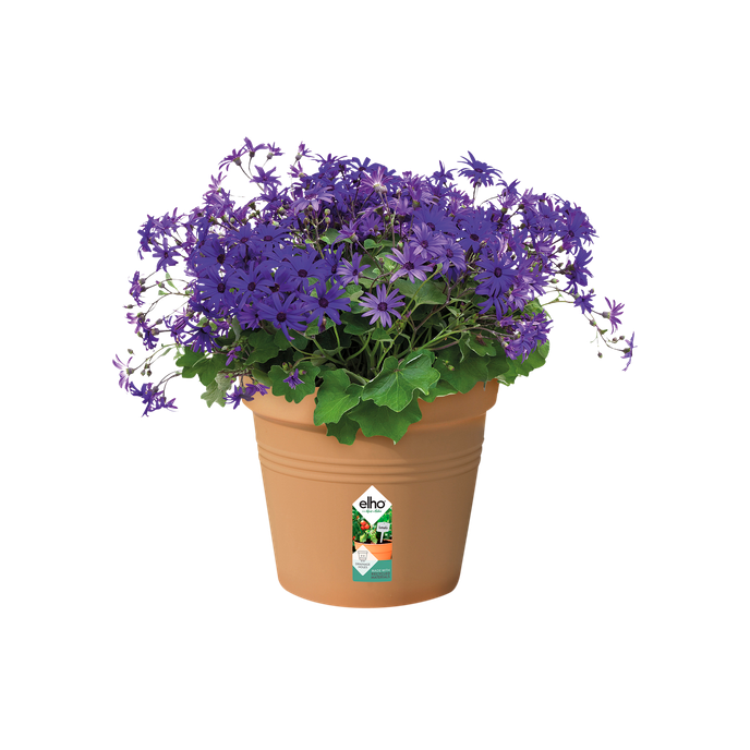 green basics pot de culture 27cm terre cuite doux